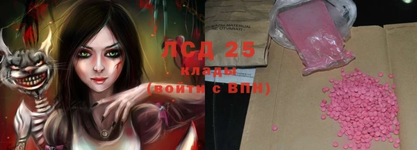 прущие грибы Снежногорск