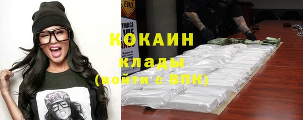 не бодяженный Алексин