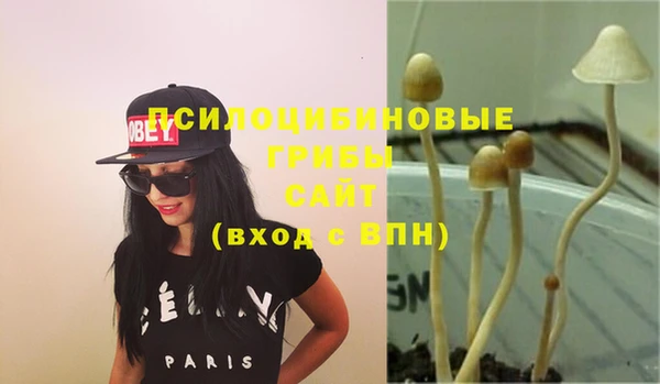 не бодяженный Алексин