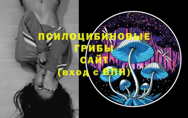 не бодяженный Алексин