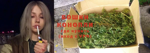 ГАЛЛЮЦИНОГЕННЫЕ ГРИБЫ Алзамай