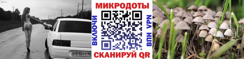 Галлюциногенные грибы мухоморы  цены наркотик  Ветлуга 